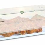 ΒΙΤΡΙΝΑ ΠΡΟΒΟΛΗΣ ΤΡΟΦΙΜΩΝ με ΚΑΠΑΚΙ GN 1/1 00289 530x325x82mm - ARAVEN